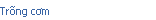 Trống cơm