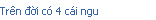 Trn đời c 4 ci ngu